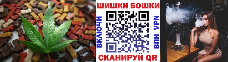 Cannafood конопля  мориарти какой сайт  Богданович 