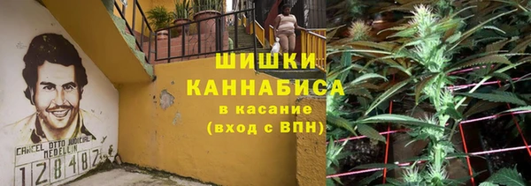 шишки Вяземский