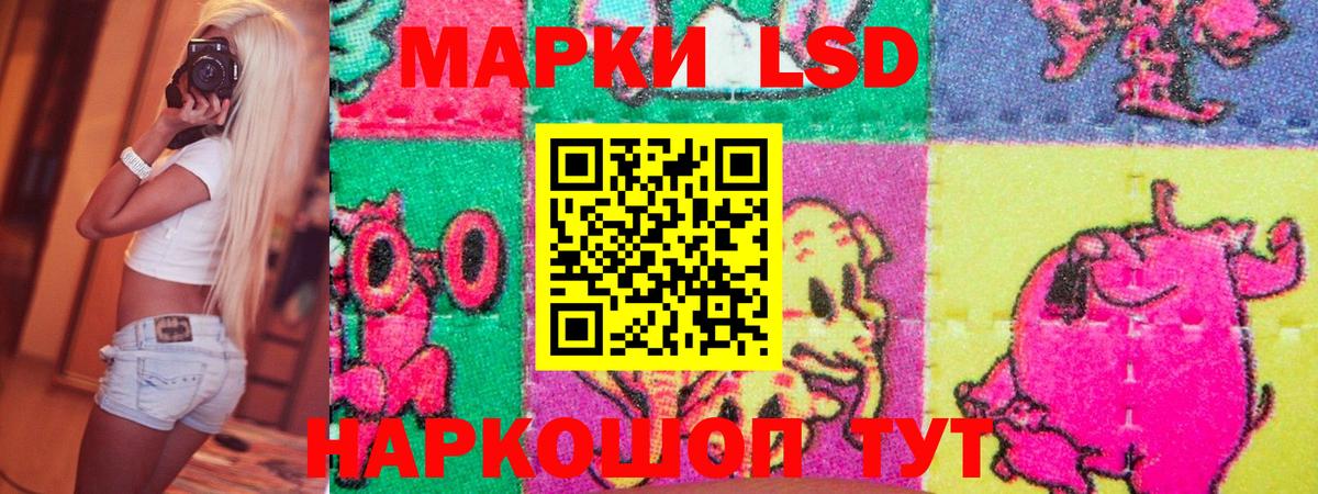 Марки NBOMe  Вход с VPN  Богданович  Марки NBOMe 1,8мг 