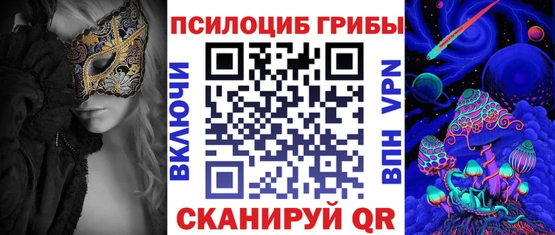 закладка  Богданович  MEGA как зайти  Псилоцибиновые грибы MAGIC MUSHROOMS 
