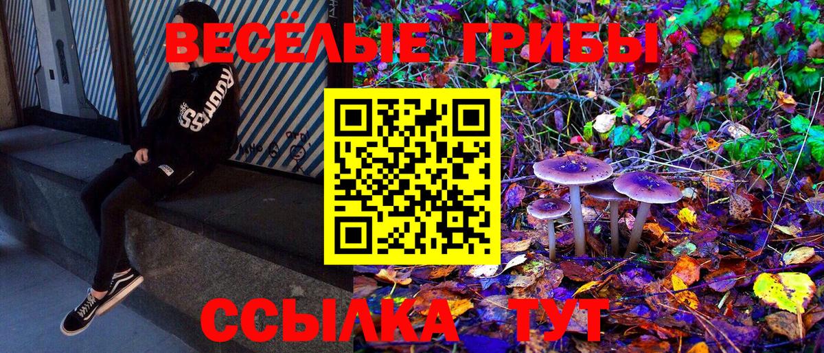 Богданович  Меф МЯУ МЯУ  ГАШИШ  MDMA  Меф МЯУ МЯУ   Вход с VPN  Кокаин  МАРИХУАНА 