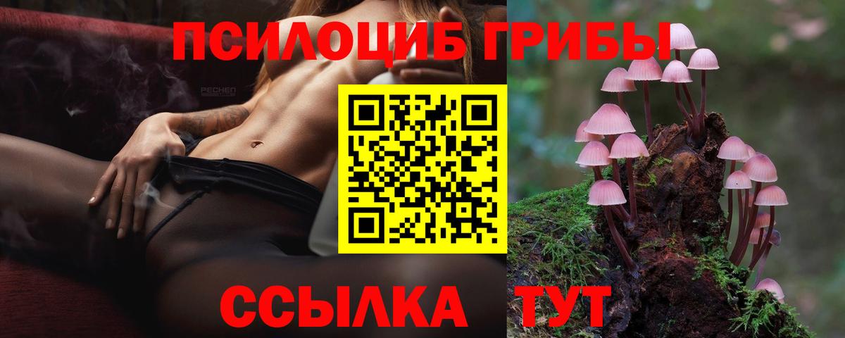 Псилоцибиновые грибы мухоморы Богданович
