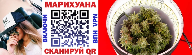 Бошки марихуана SATIVA & INDICA Богданович
