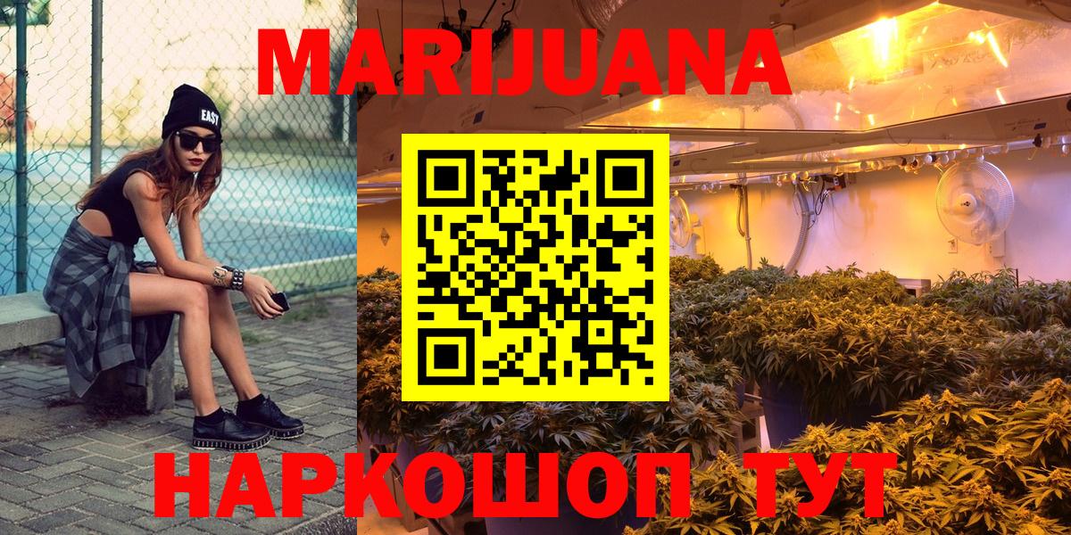 Каннабис планчик Богданович